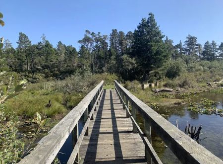 Bluebill Campground