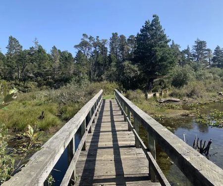 Bluebill Campground