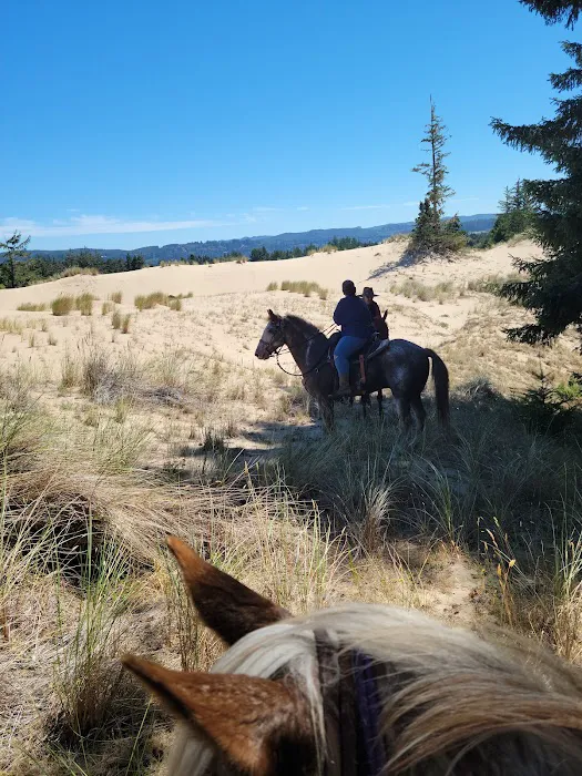 Wild Mare Horse Camp Picture 5