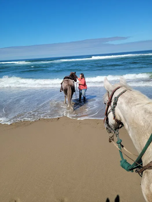 Wild Mare Horse Camp Picture 4