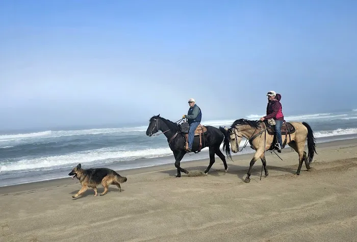 Wild Mare Horse Camp Picture 2