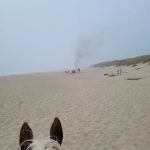 Wild Mare Horse Camp