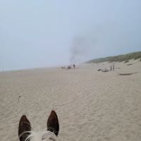 Wild Mare Horse Camp ico