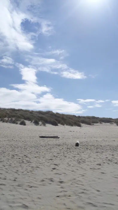 Horsfall Beach Camping Picture 4