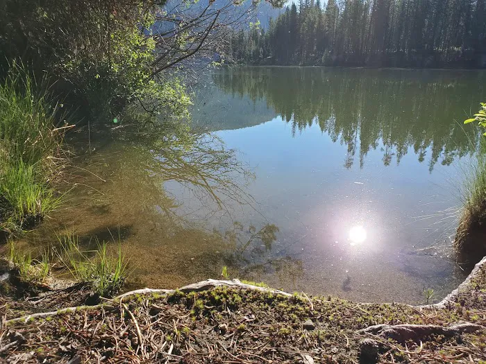 Poole Creek Campground Picture 8