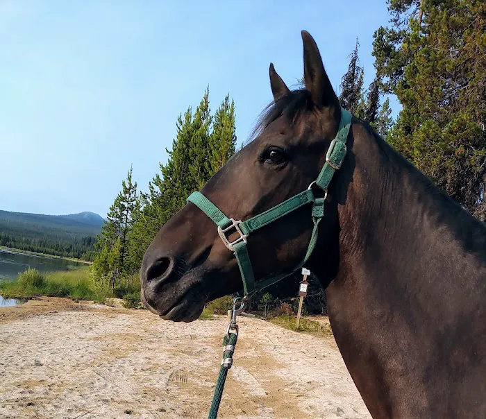 Whitefish Horse Camp Picture 8