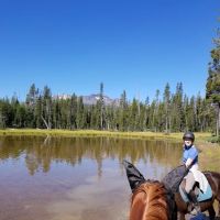 Whitefish Horse Camp ico