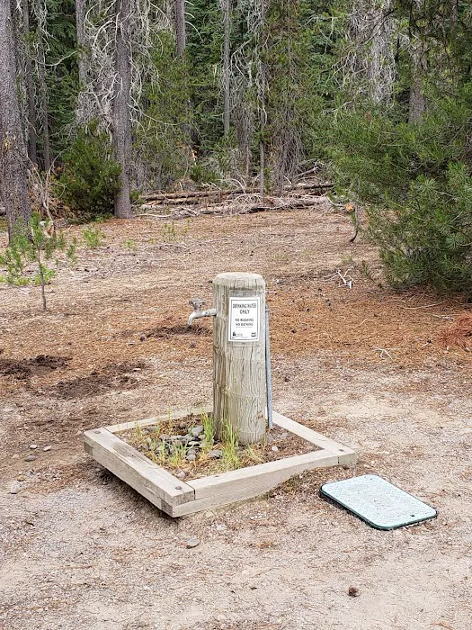Whitefish Horse Camp Picture 10