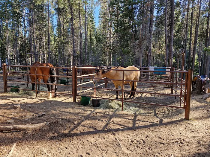 Whitefish Horse Camp Picture 9