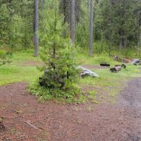 East Lemolo Campground ico