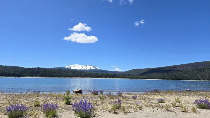 Spring Campground Picture 2