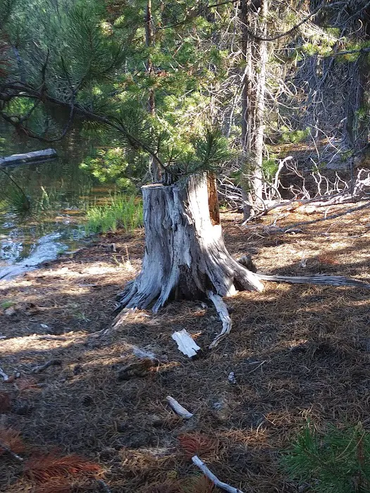 Spring Campground Picture 9