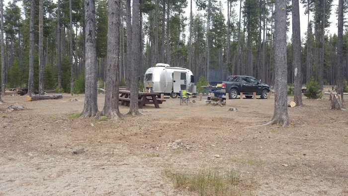Contorta Flat Campground Picture 10