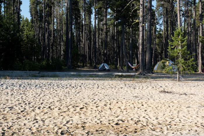 Contorta Flat Campground Picture 2