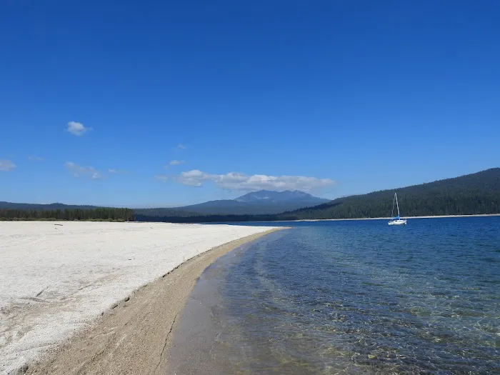 Contorta Point Campground Picture 6