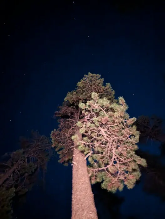 Contorta Point Campground Picture 3