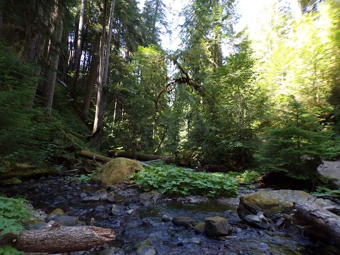 Lake in the Woods Campground Picture 3