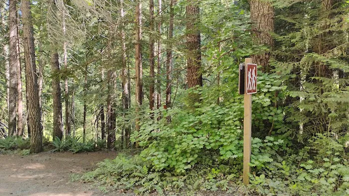 Lake in the Woods Campground Picture 4