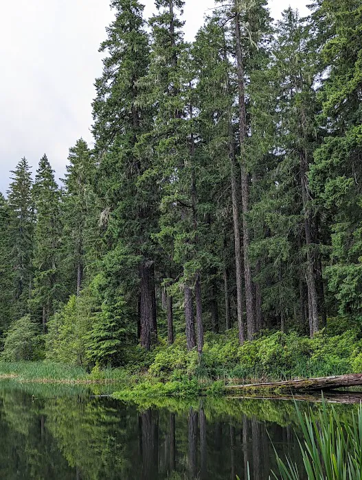 Lake in the Woods Campground Picture 9