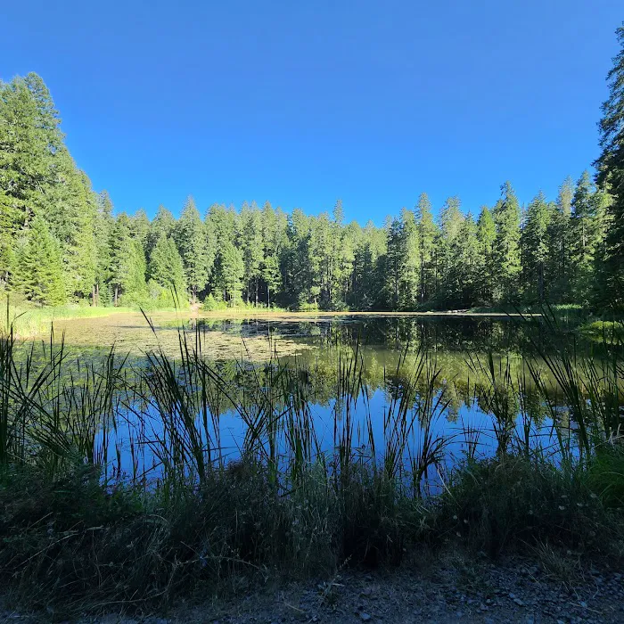 Lake in the Woods Campground Picture 7
