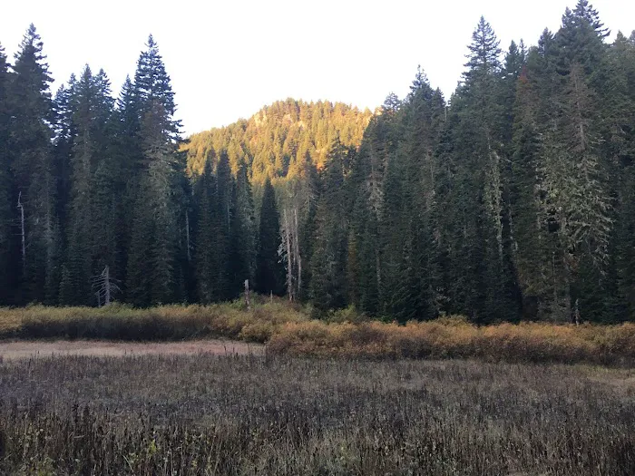 Hemlock Lake Campground Picture 7