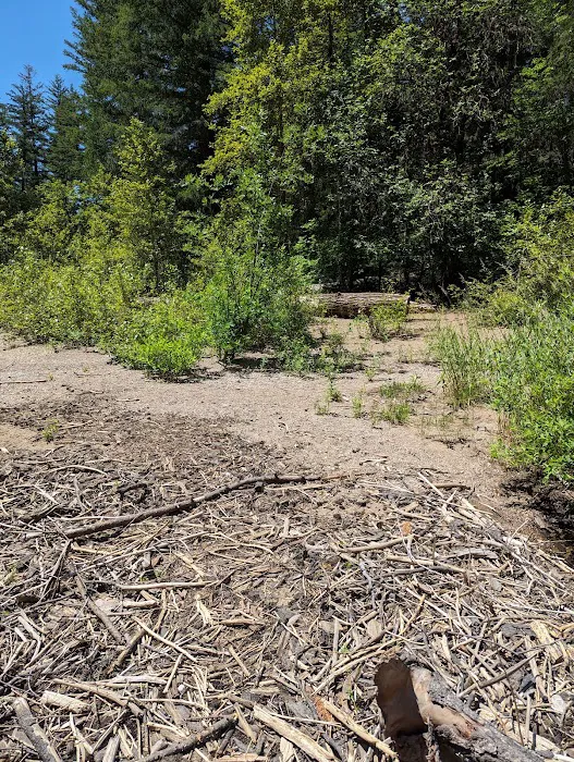 Dumont Creek Campground Picture 8