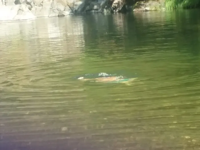 Dumont Creek Campground Picture 3