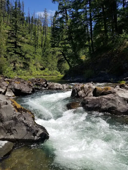 Dumont Creek Campground Picture 6