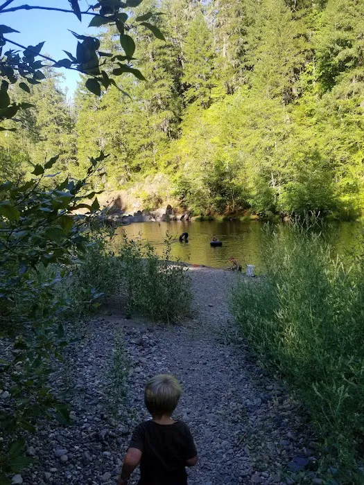 Dumont Creek Campground Picture 7