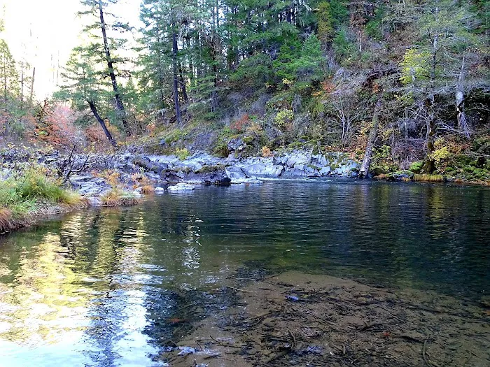 Dumont Creek Campground Picture 5