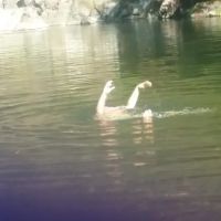 Dumont Creek Campground ico
