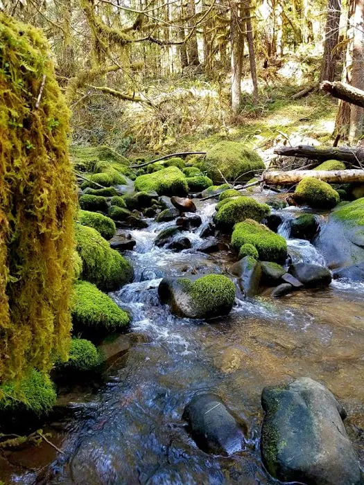 Boulder Creek Campground Picture 7