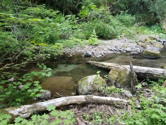 Camas Creek Forest Camp Picture 4