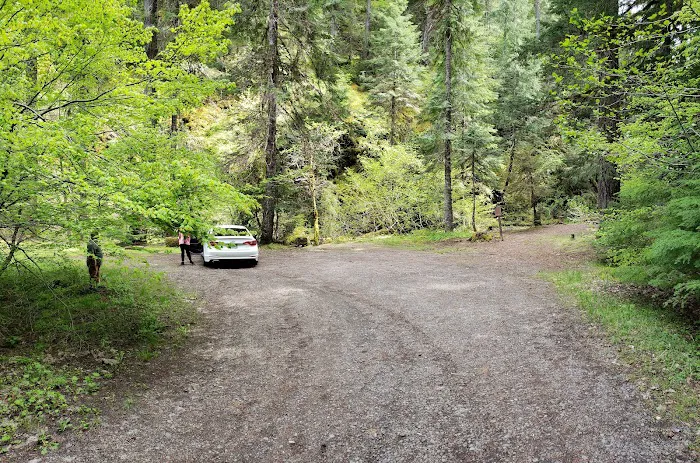 Camas Creek Forest Camp Picture 5