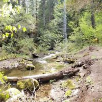 Camas Creek Forest Camp ico