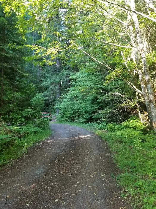 Camas Creek Forest Camp Picture 3