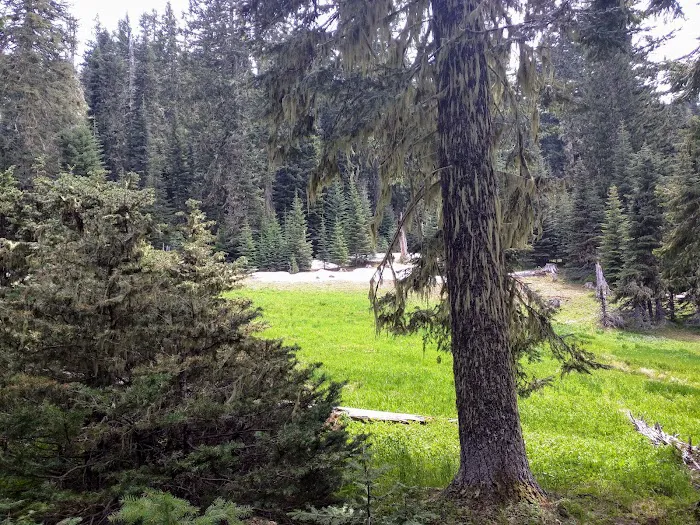 Twin Lakes Shelter Picture 9