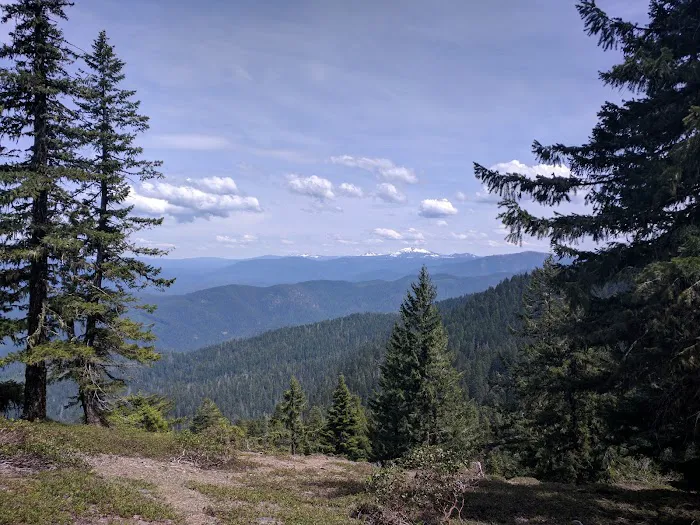 Twin Lakes Shelter Picture 3