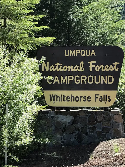Whitehorse Falls Campground Picture 2
