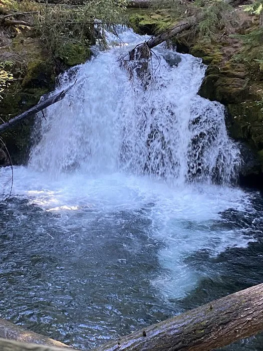 Whitehorse Falls Campground Picture 6