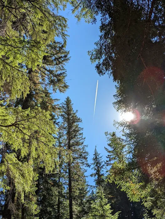 Whitehorse Falls Campground Picture 7