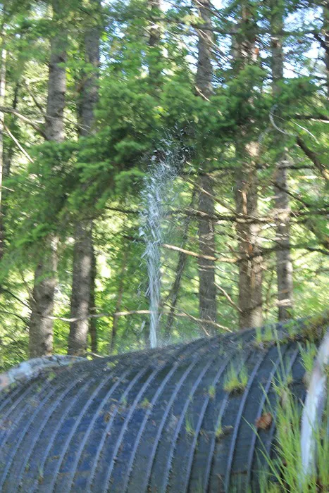Whitehorse Falls Campground Picture 1