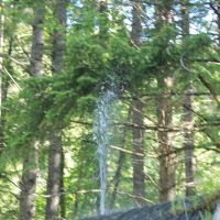 Whitehorse Falls Campground ico
