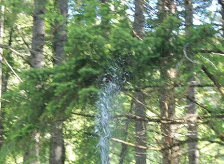 Whitehorse Falls Campground