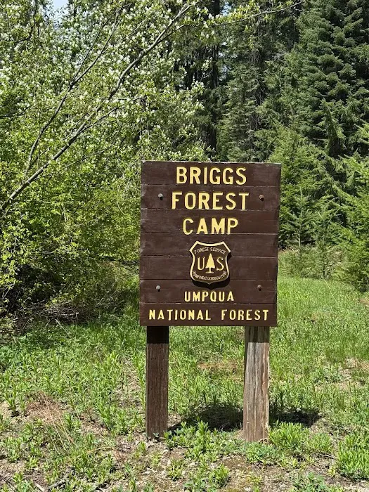 Briggs Forest Camp Picture 1