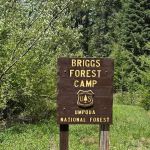 Briggs Forest Camp