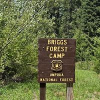 Briggs Forest Camp ico
