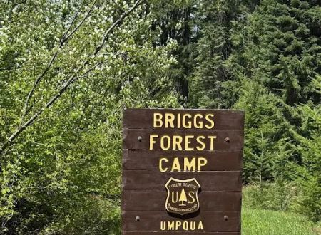 Briggs Forest Camp