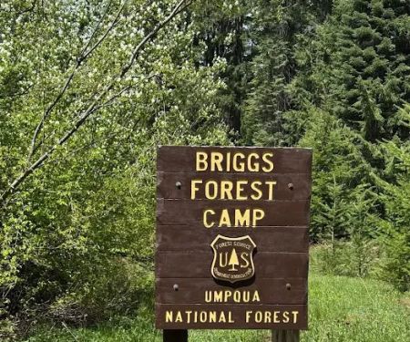 Briggs Forest Camp