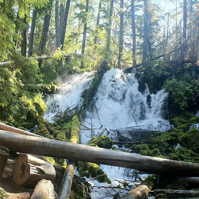 Clearwater Falls Campground (Lower) Picture 8